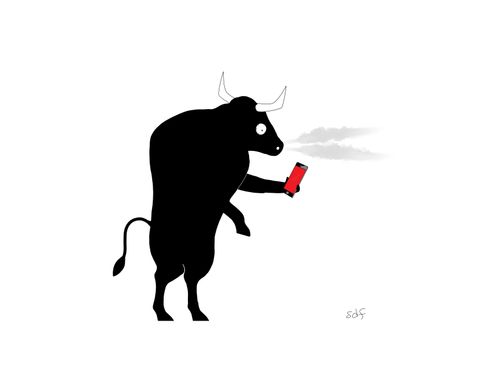 A bull which has seen red.