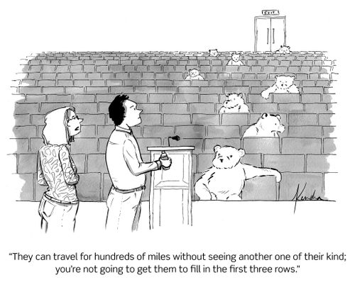 "They can travel for hundreds of miles without seeing another one of their kind; you're not going to get them to fill in the first three rows."