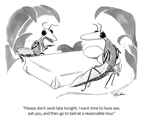 "Please don't work late ronight. I want time to have sex, eat you, and then go to bed at a reasonable hour."