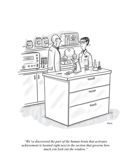 "We've discovered the part of the human brain that activates achievement is located right next to the section that governs how much you look out the window."