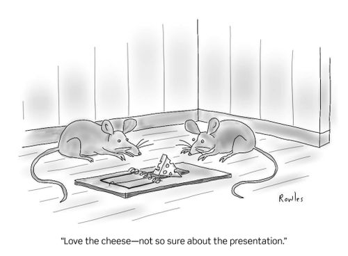 "Love the cheese - not so sure about the presentation."