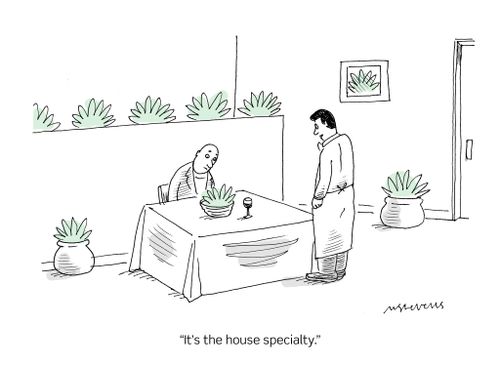 "It's the house specialty."