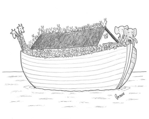 Noah's Ark