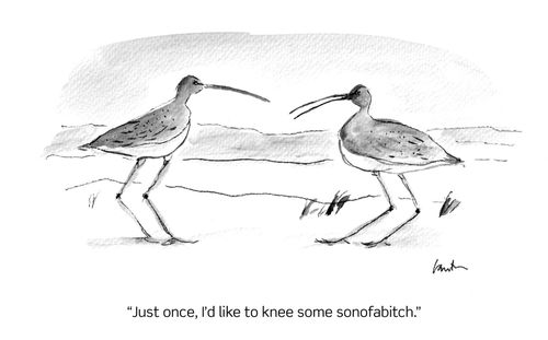 "Just once, I'd like to knee some sonofab*tch."