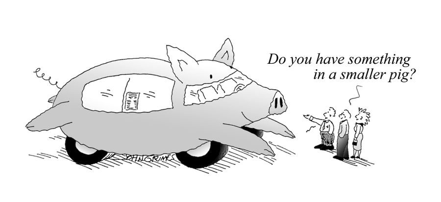 "Do you have something in a smaller pig?"