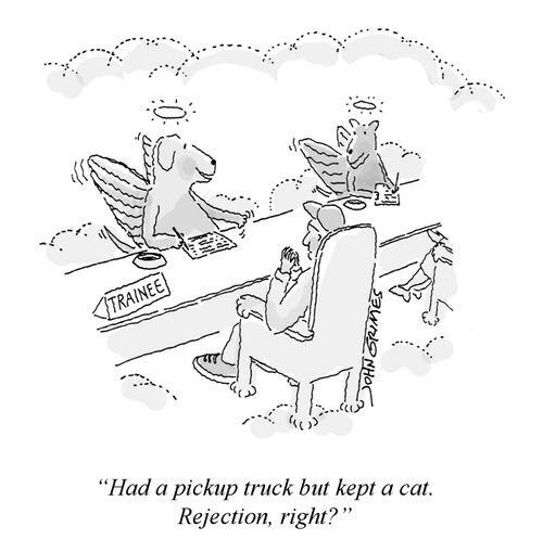 "Had a pickup truck but kept a cat. Rejection, right?"