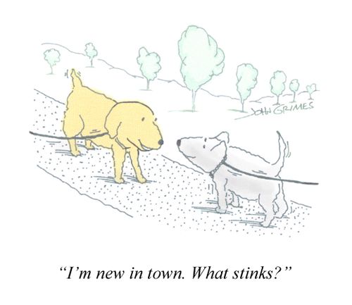 "I'm new in town. What stinks?"