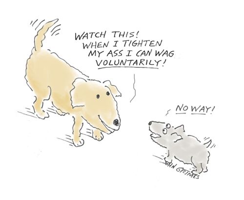 "Watch this! When I tighten my ass I can wag voluntarily!"