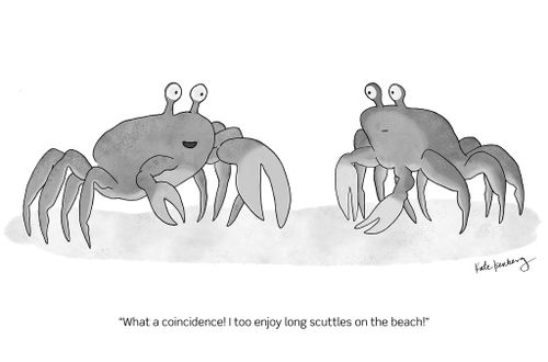 "What a coincidence! I too enjoy long scuttles on the beach!"