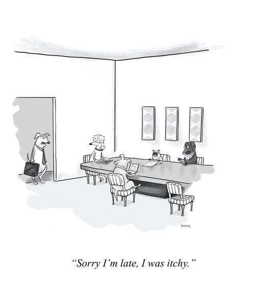 "Sorry I'm late, I was itchy."