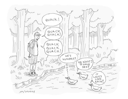 Ducks trying to guess what a man is quacking.