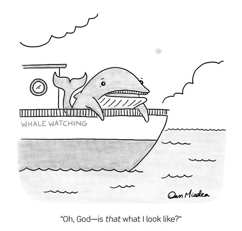 "Oh, God – is that what I look like?"