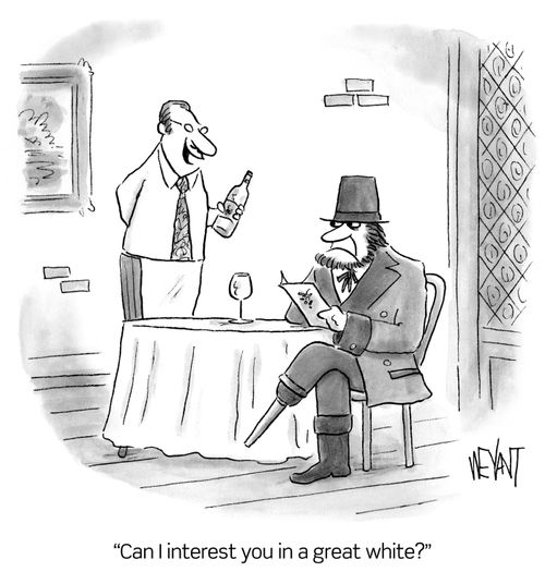 "Can I interest you in a great white?"