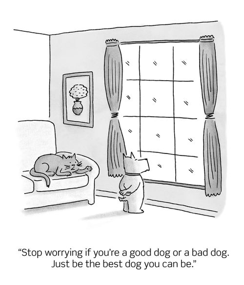 "Stop worrying if you're a good dog or a bad dog. Just be the best dog you can be."