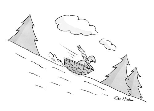 A tortoise toboggans down a hill in its shell