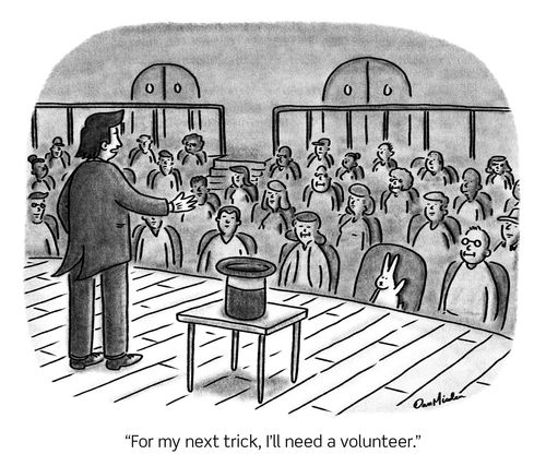 "For my next trick, I'll need a volunteer."