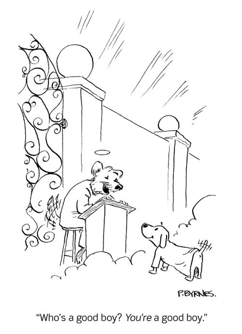 "Who's a good boy? You're a good boy."