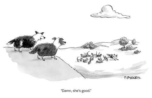 "Damn, she's good."