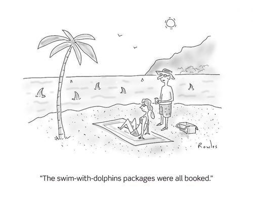 "The swim-with-dolphins packages were all booked."