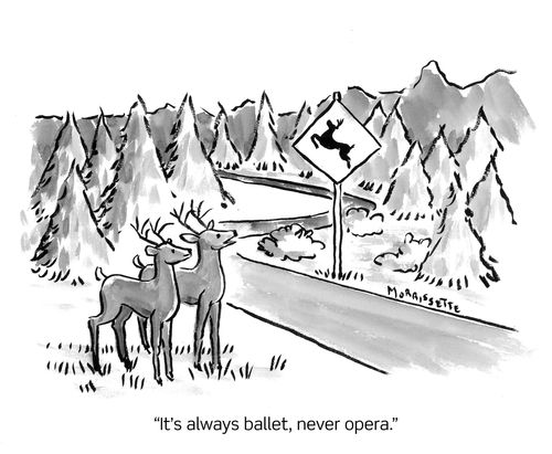 "It's always ballet, never opera."