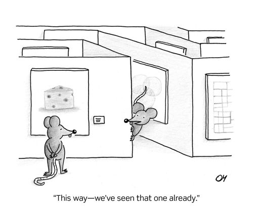 "This way—we've seen that one already."