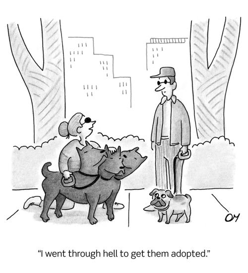 "I went through hell to get them adopted."