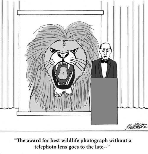 "The award for best wildlife photograph without a telephoto lens goes to the late--"