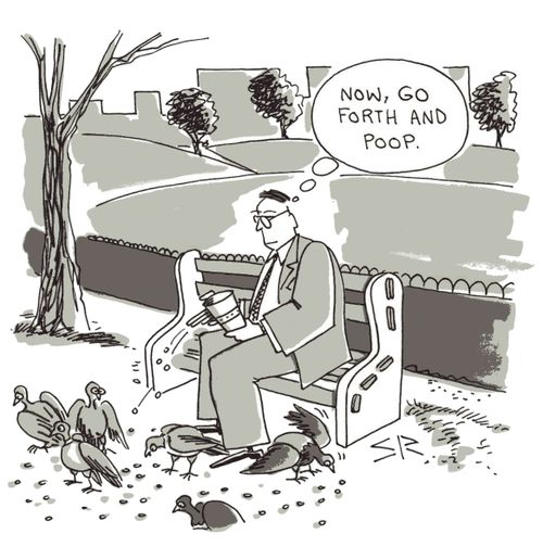 Pigeon Master