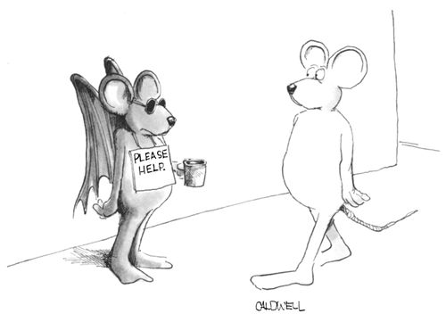 Blind Mice - Please Help