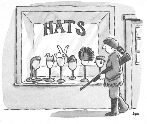 Animal Hats