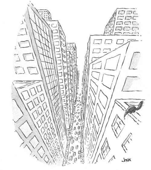 Anteater's View of the World