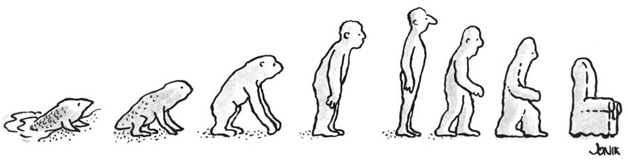 Evolution of Chair