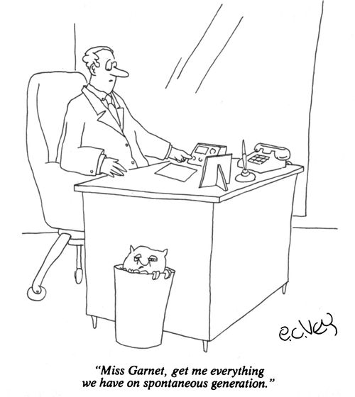 "Miss Garnet, get me everything we have on spontaneous generation."