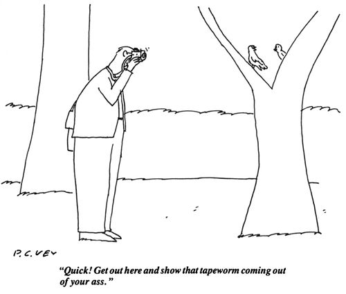 "Quick! Get out here and show that tapeworm coming out of your a*s."