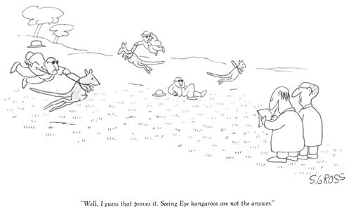"Well, I guess that proves it. Seeing Eye kangaroos are not the answer."