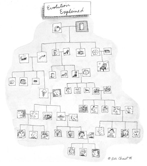 Evolution explained.