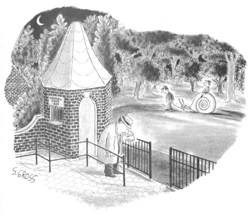 A man waits for his child on a snail animal ride.