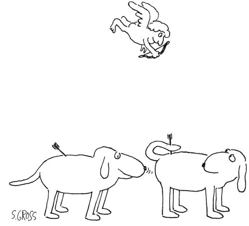 One dog sniffs the butt of another dog after being shot with an arrow by Cupid