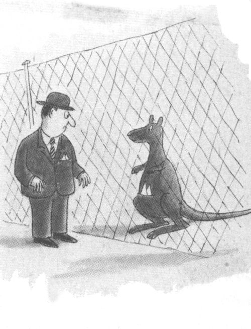 A man with a pocket handkerchief encounters a kangaroo with a pocket handkerchief.