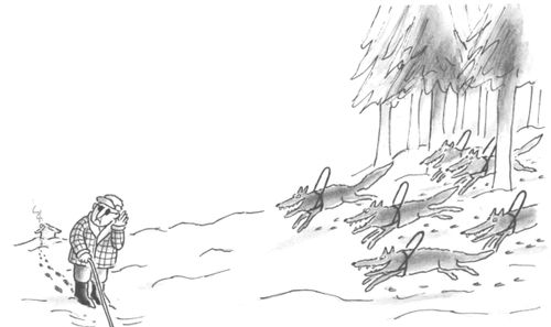A blind man listening to a pack of dogs running out of the forest wearing harnesses