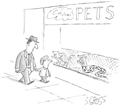Man and boy look in a pet store windows full of puppies and a half-dog half-snake creature