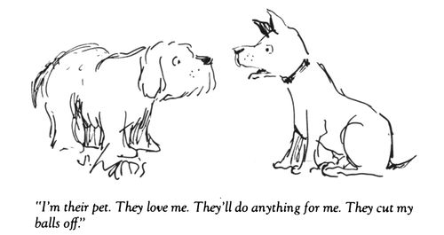 "I'm their pet. They love me. They'll do anything for me. They cut my balls off."