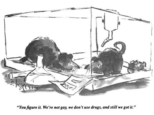 "You figure it. We're not gay, we don't use drugs, and we still got it."