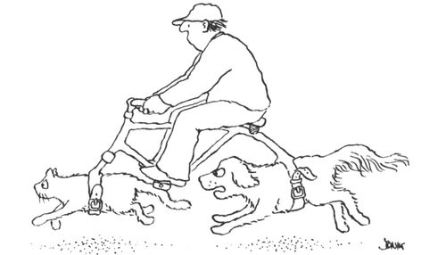 Man riding a bike frame with a cat and a dog attached to harnesses where the wheels would normally be