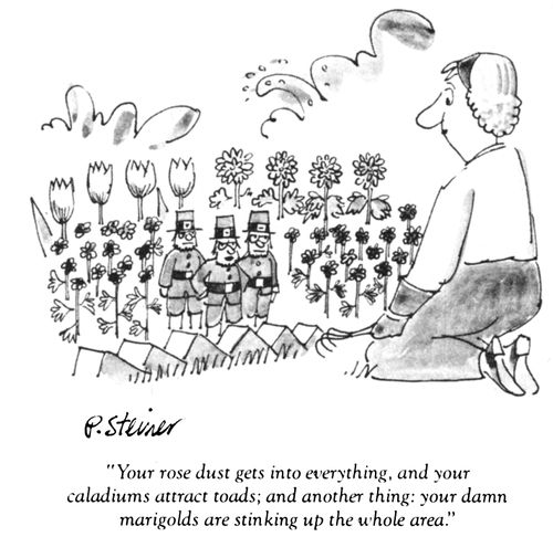 "Your rose dust gets into everything, and your caladiums attract toads; and another thing: your damn marigolds are stinking up the whole area."