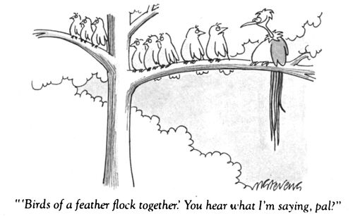 "'Birds of a feather flock together.' You hear what I'm saying, pal?"