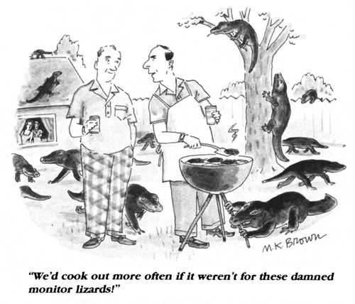 "We'd cook out more often if it weren't for these damned monitor lizards!"