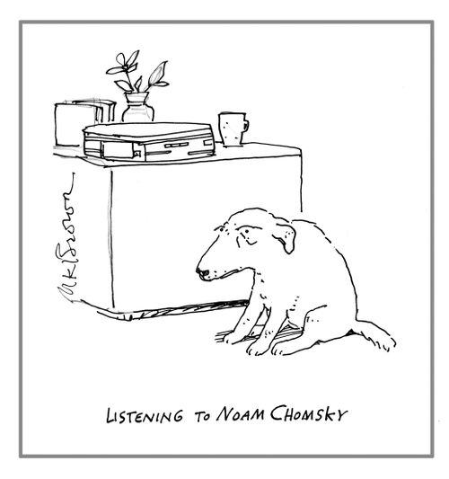 Listening to Noam Chomsky