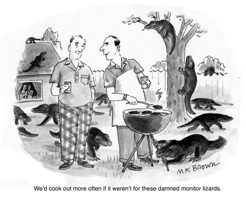 "We'd cook out more often if it weren't for these damned monitor lizards."