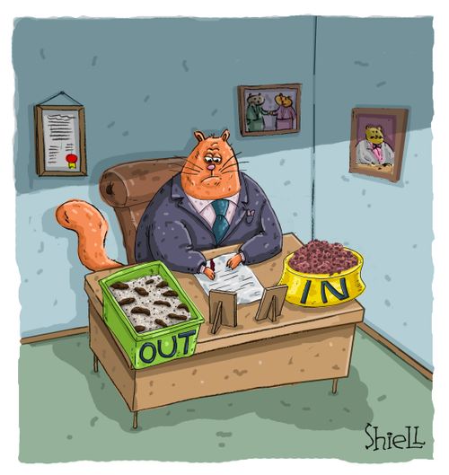 Kitty Business man, In Out boxes.